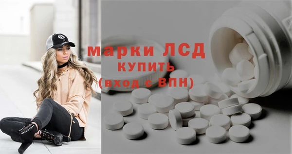 сатива Осинники