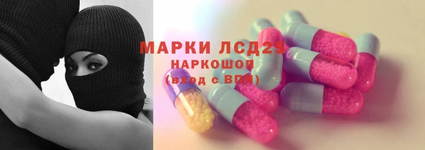 сатива Осинники