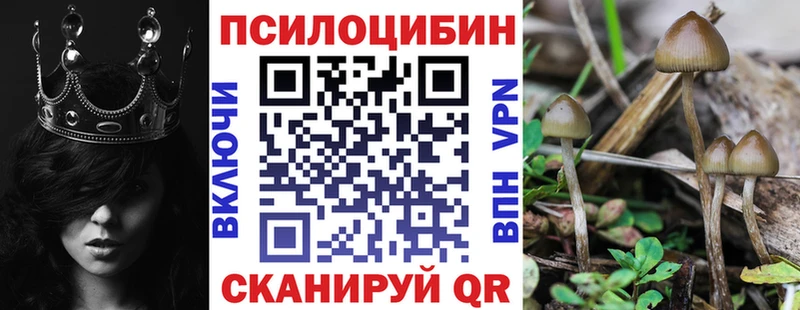 Псилоцибиновые грибы Psilocybine cubensis  ссылка на мегу вход  Рассказово  купить наркотики сайты 
