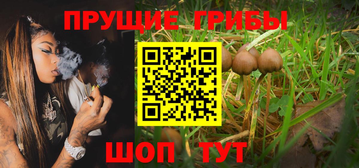 Псилоцибиновые грибы Cubensis Рассказово