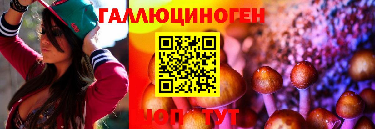 даркнет сайт  Псилоцибиновые грибы мухоморы  Рассказово  Вход с VPN  Псилоцибиновые грибы прущие грибы 